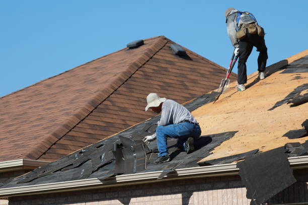 Best Metal Roofing Installation  in Noel, MO