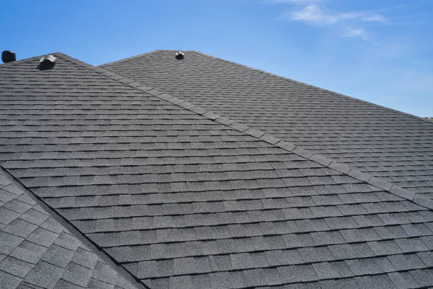 Best Solar Panel Roofing Installation  in Noel, MO