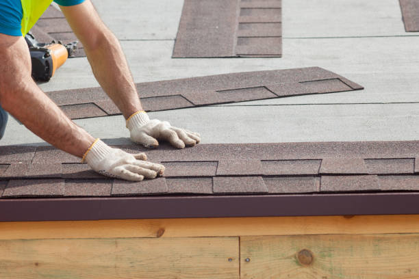 Best Roof Leak Repair  in Noel, MO